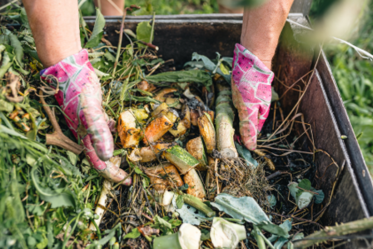 hands touching food waste compost