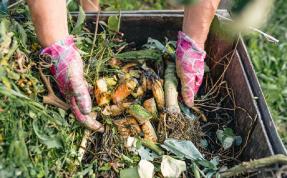 hands touching food waste compost