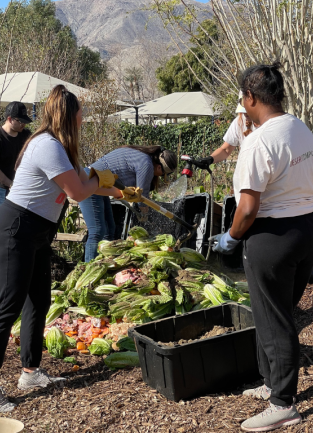 composting class icon