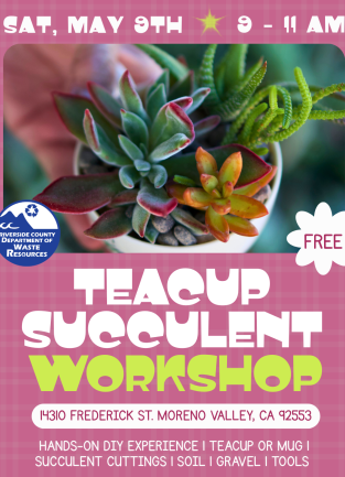 2026 Teacup Succulent Event English Flyer